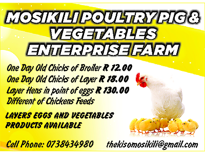 MOSIKILI POULTRY PIG 06 May (1).jpg - MOSIKILI POULTRY PIG AND VEGETABLES ENTERPRISE FARM image