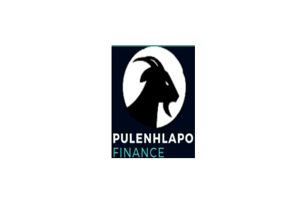 PuleNhlapo Finance PTY LTD photo