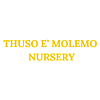 Thuso E' Molemo photo