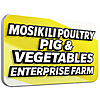 MOSIKILI POULTRY PIG AND VEGETABLES ENTERPRISE FARM photo