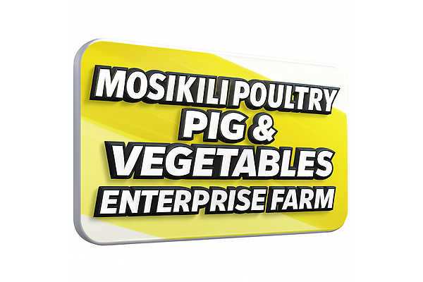 MOSIKILI POULTRY PIG AND VEGETABLES ENTERPRISE FARM photo