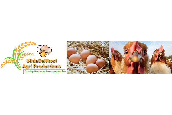 BuhleBeNkosi Agri Production photo