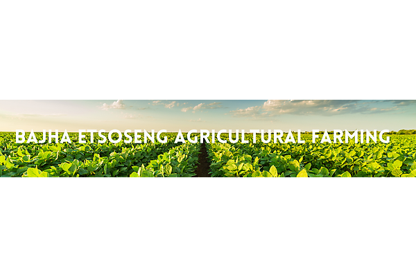 Bajha Etsoseng  Agricultural Farming and Project. photo
