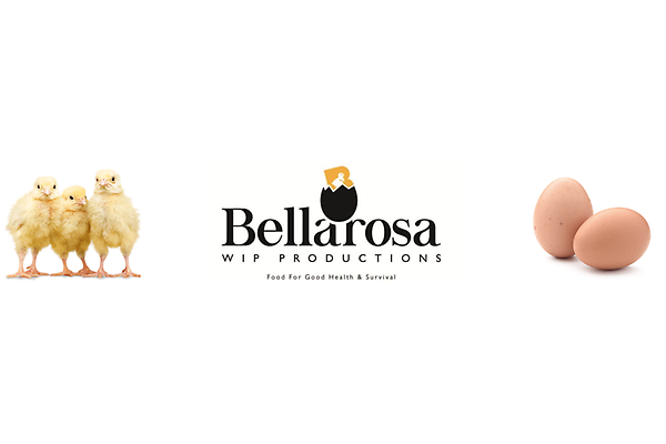 Bellarosa Wip Productions photo