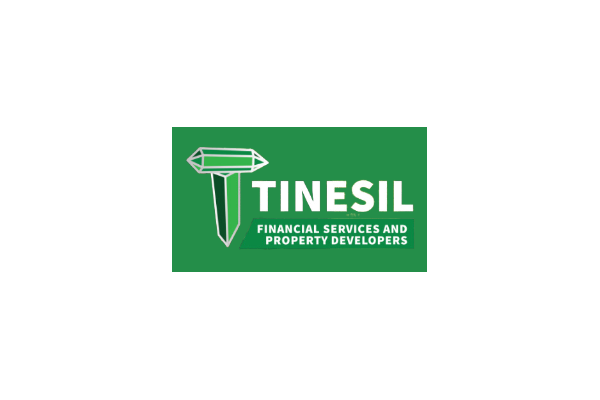 Tinesil Financial Services and Property Developers  photo
