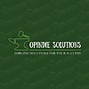 OPINDIE SOLUTIONS photo