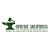 OPINDIE SOLUTIONS photo