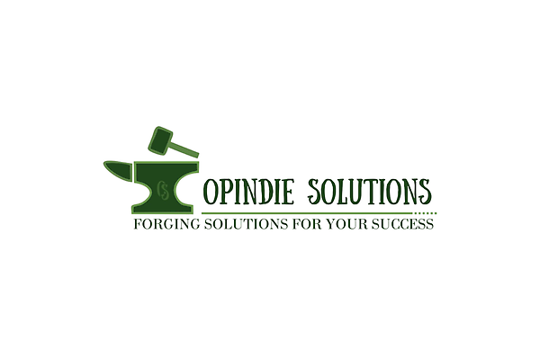 OPINDIE SOLUTIONS photo