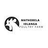 Mathobela Idlanga Poultry Farm  photo