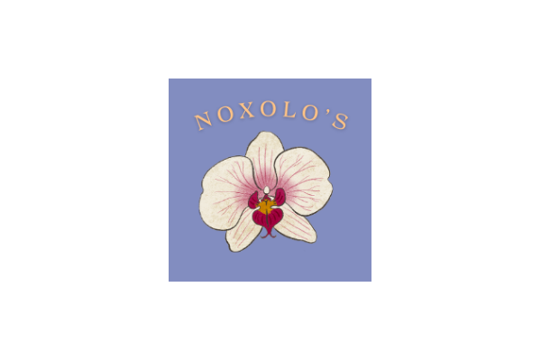 Noxolo's Touch for Beauty and Perfection Spa photo