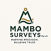Mambo Surveys photo