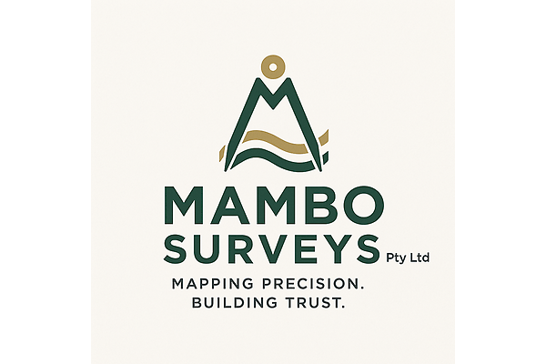 Mambo Surveys photo