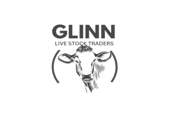 Glinn Trading(PTY)LTD photo