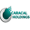 Caracal Holdings photo