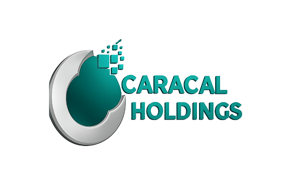 Caracal Holdings photo