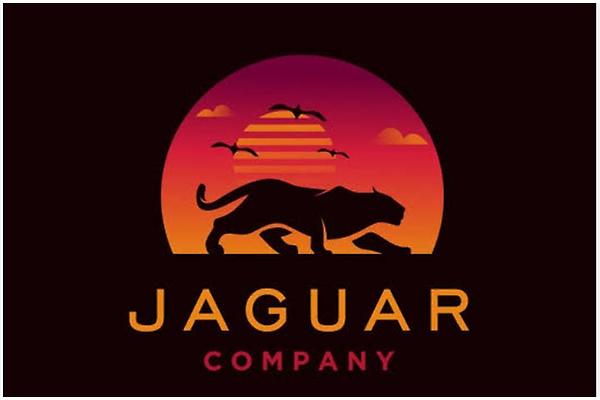 Mission Jaguar photo