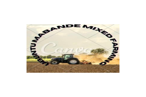 Ubuntu Mabande Mixed Farming photo