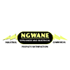 Ngwane Appliances and Electrical  photo