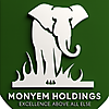MonyeM Holdings photo