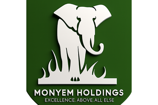 MonyeM Holdings photo