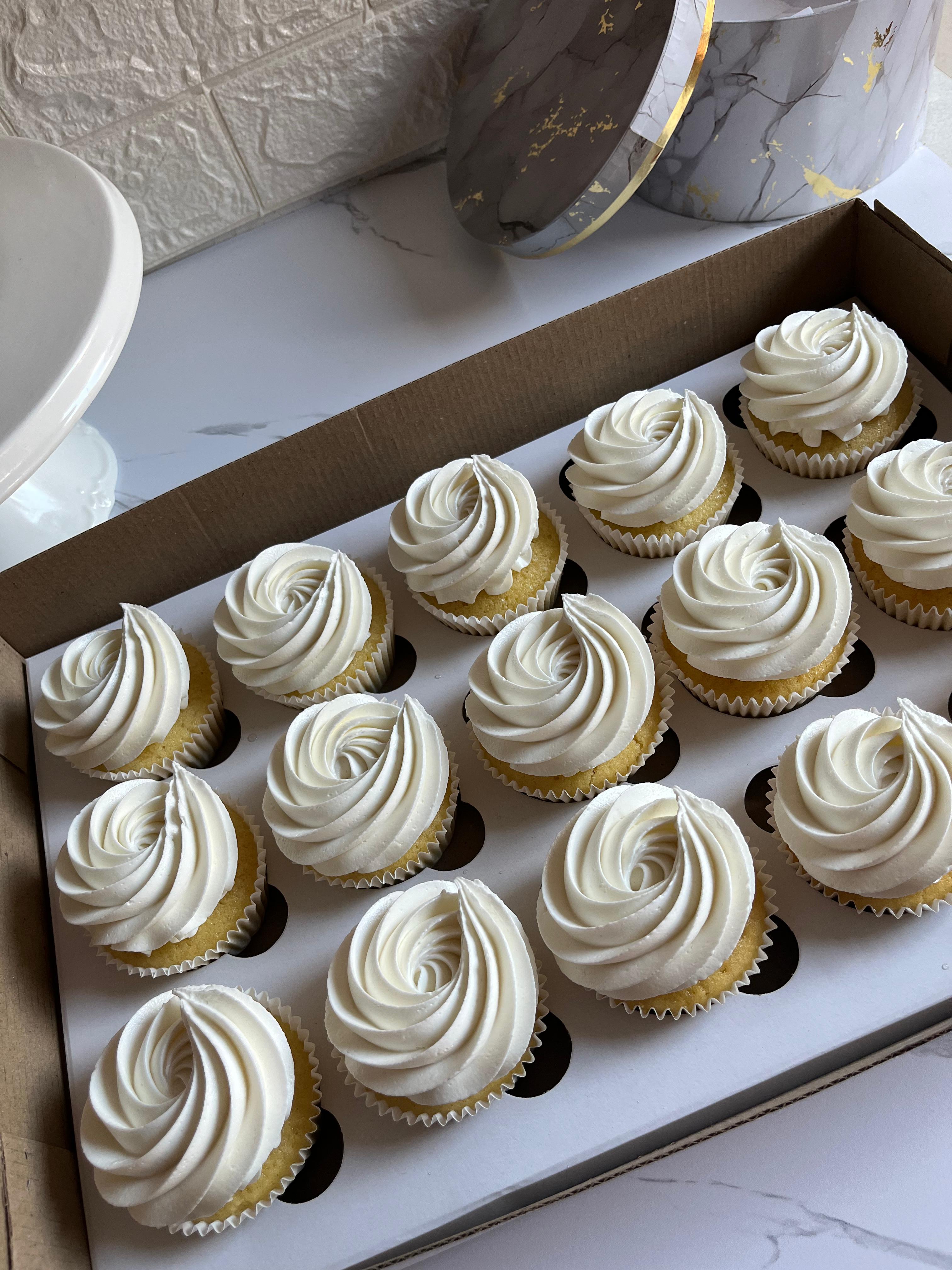 WhatsApp Image 2026-03-03 at 10.26.20 (1).jpeg