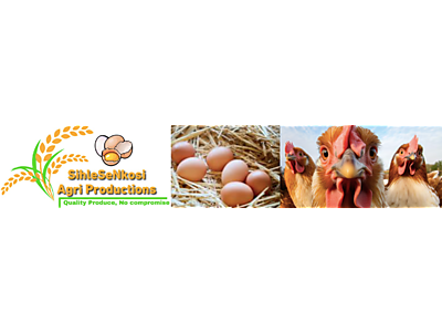 BuhleBanner.png - BuhleBeNkosi Agri Production image