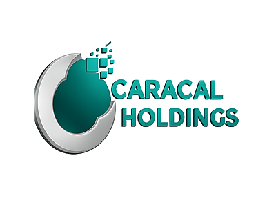 Caracalholidings.LOGO22s.png - Caracal Holdings image