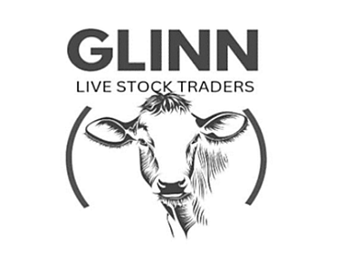 Glinnlogo.png - Glinn Trading(PTY)LTD image