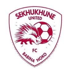 Sekhukhune united logo.jpeg