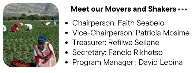 Screenshot 2025-03-13 at 11.48.54.png