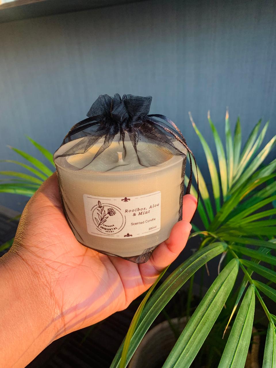 WhatsApp Image 2025-12-08 at 20.34.26.jpeg