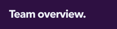 team overview2.png