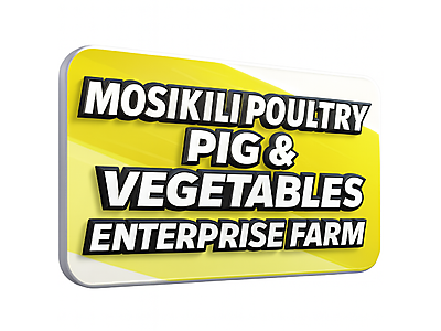 Copilot_20250930_144223.png - MOSIKILI POULTRY PIG AND VEGETABLES ENTERPRISE FARM image