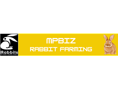 MPbannerNew.png - MpBizRabbitry image