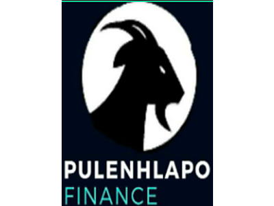 Screenshot 2024-08-16 at 14.45.36.png - PuleNhlapo Finance PTY LTD image