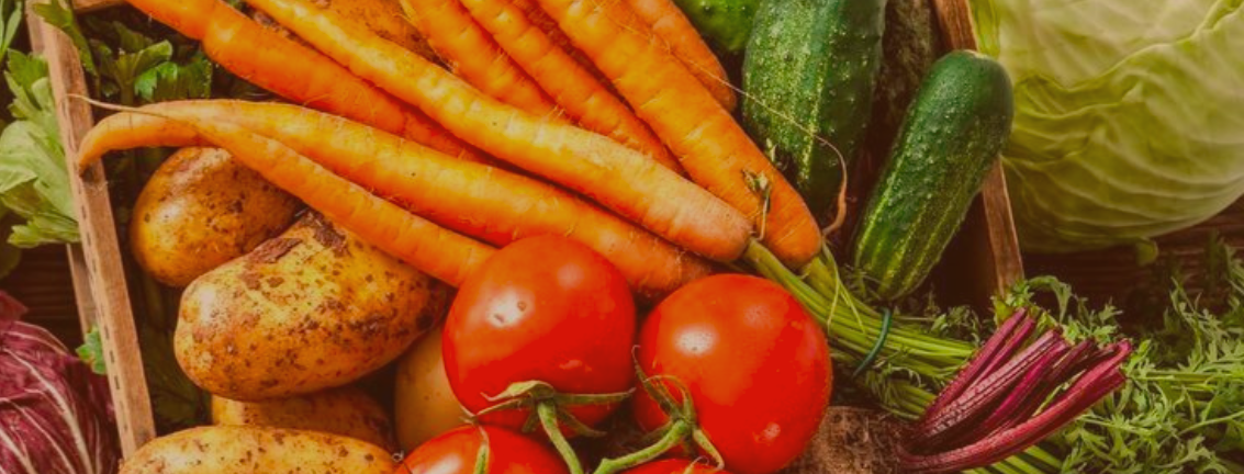 Screenshot 2026-03-19 at 12.48.16.png