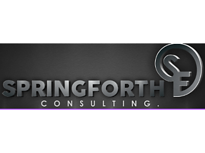 Logo.PNG - Springforth Consulting image