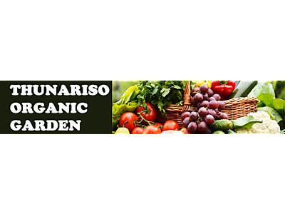 THUNABANNER.png - Thunariso Organic Garden image