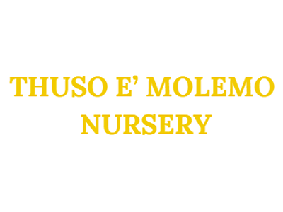 logo.PNG - Thuso E' Molemo image