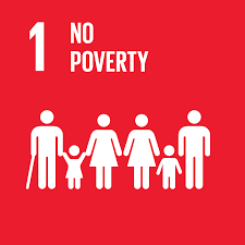 sdg1.png